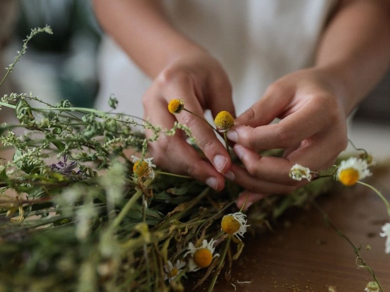 Tipos de té relajantes para dormir bien y lograr un sueño profundo