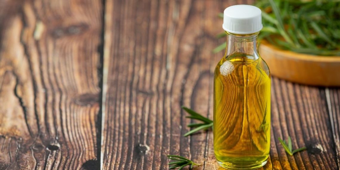 Shampoo de romero enriquece la salud capilar con esta planta