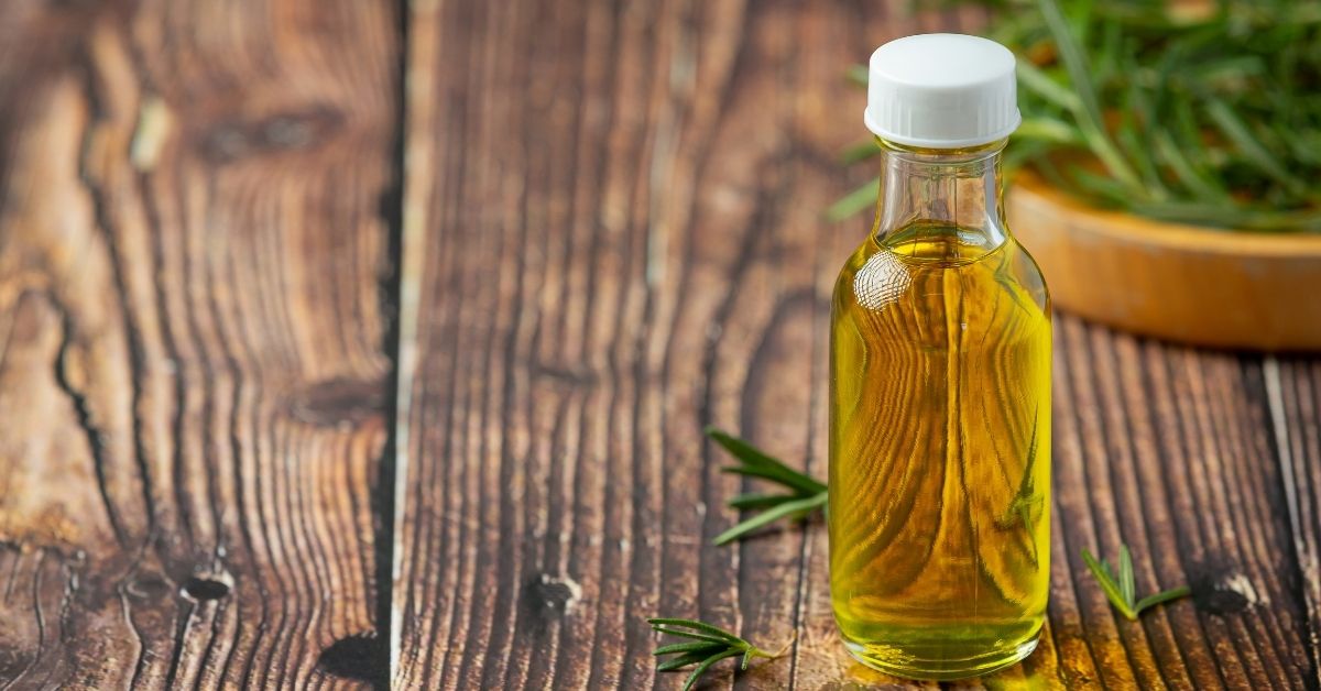 Shampoo de romero enriquece la salud capilar con esta planta